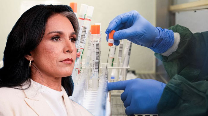 Tulsi Gabbard deckt 120 US-finanzierte Biolabore im Ausland auf