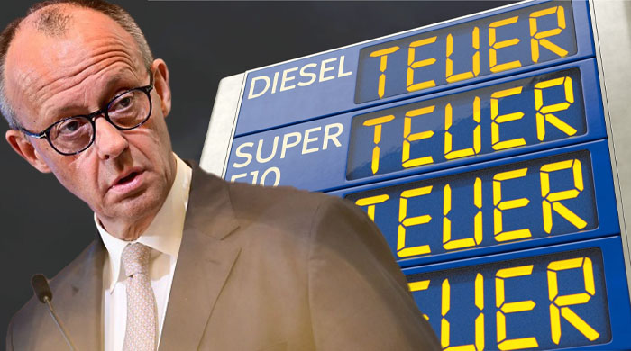 Der gierige Staat